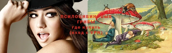 не бодяженный Михайловск