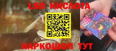 стафф Донецк