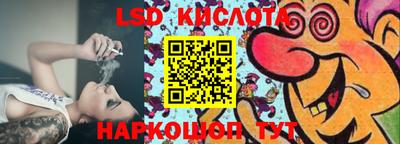 стафф Донецк