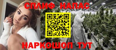 скорость Бийск