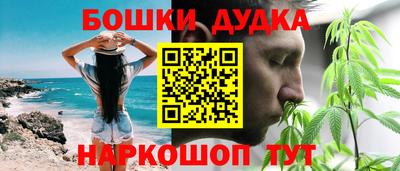 стафф Донецк