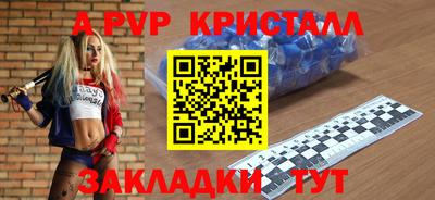 стафф Донецк
