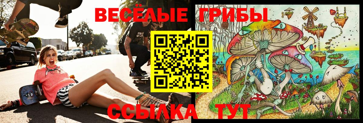 Галлюциногенные грибы ЛСД  где купить наркотик  Зеленокумск  Галлюциногенные грибы Magic Shrooms  Вход с VPN 