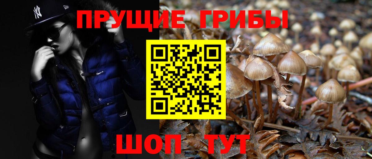 Псилоцибиновые грибы Magic Shrooms Зеленокумск